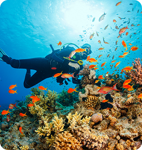 Diving