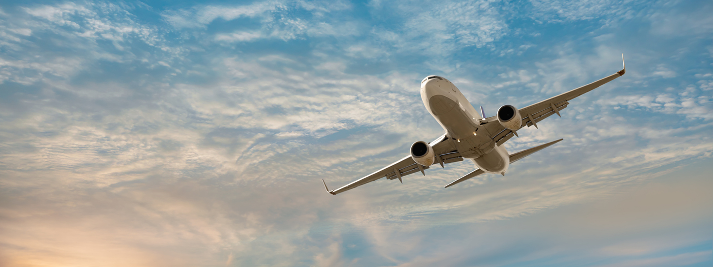 Fly with Plantel